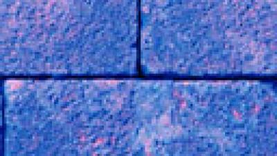 Textures photorealistic screenshot
