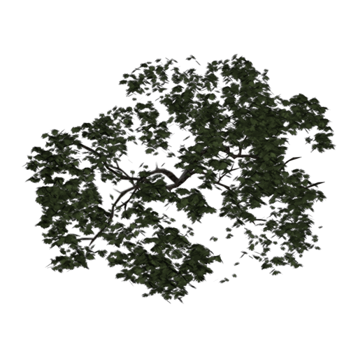 Tree set screenshot