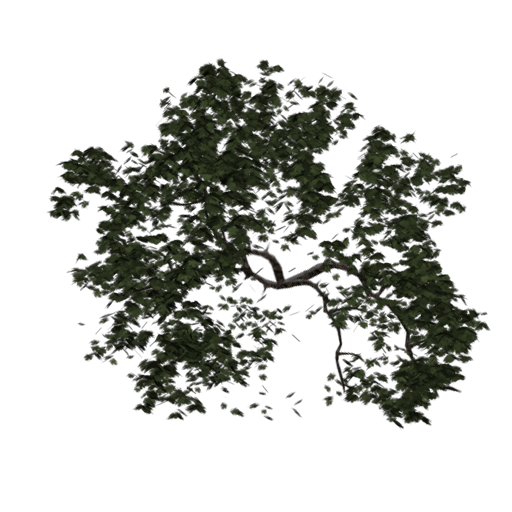 Tree set screenshot