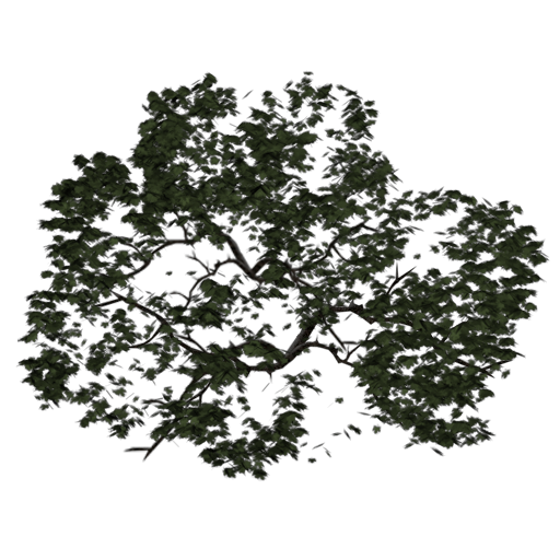 Tree set screenshot