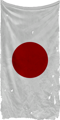 Wwii flags screenshot