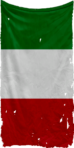 Wwii flags screenshot