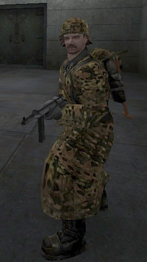 Flecktarn screenshot