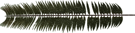 GtkRadiant 1.6 20121007 screenshot