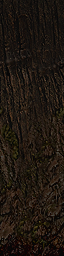 GtkRadiant 1.6 Linux screenshot