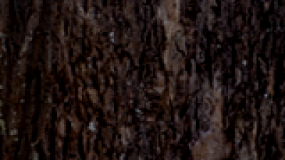 Degeneration ldk v1 screenshot