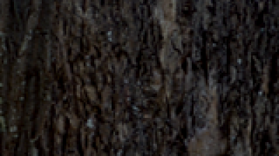 Degeneration ldk v1 screenshot