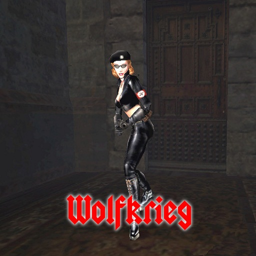 Coop Wolfkrieg Castle screenshot