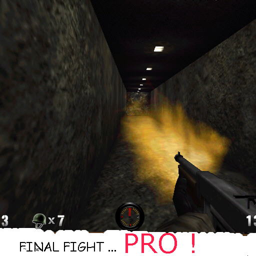 Final fight