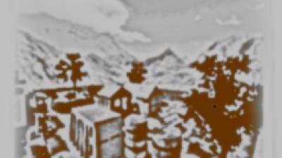 RTCW ACW screenshot