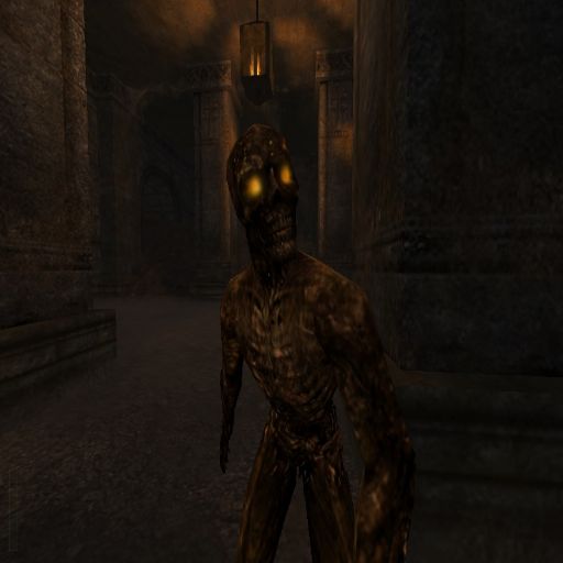 Rtcwcoop 0.9.5 linux screenshot
