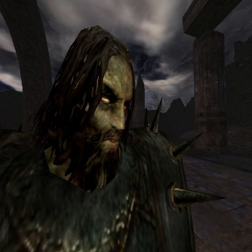 Rtcwcoop 0.9.5 windows screenshot