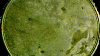 sfx_tatooine screenshot