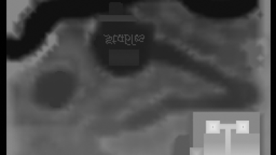 transylvania_beta2_fixed screenshot