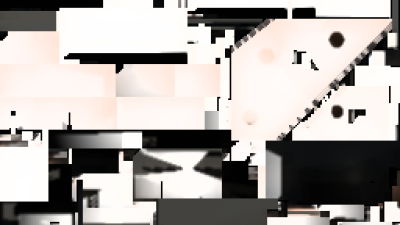 document_raid_final screenshot