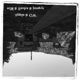 sp_delivery_te_source