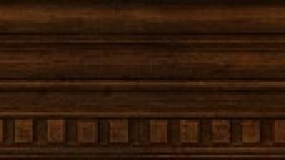 rtcw_ent_in_et1_ screenshot