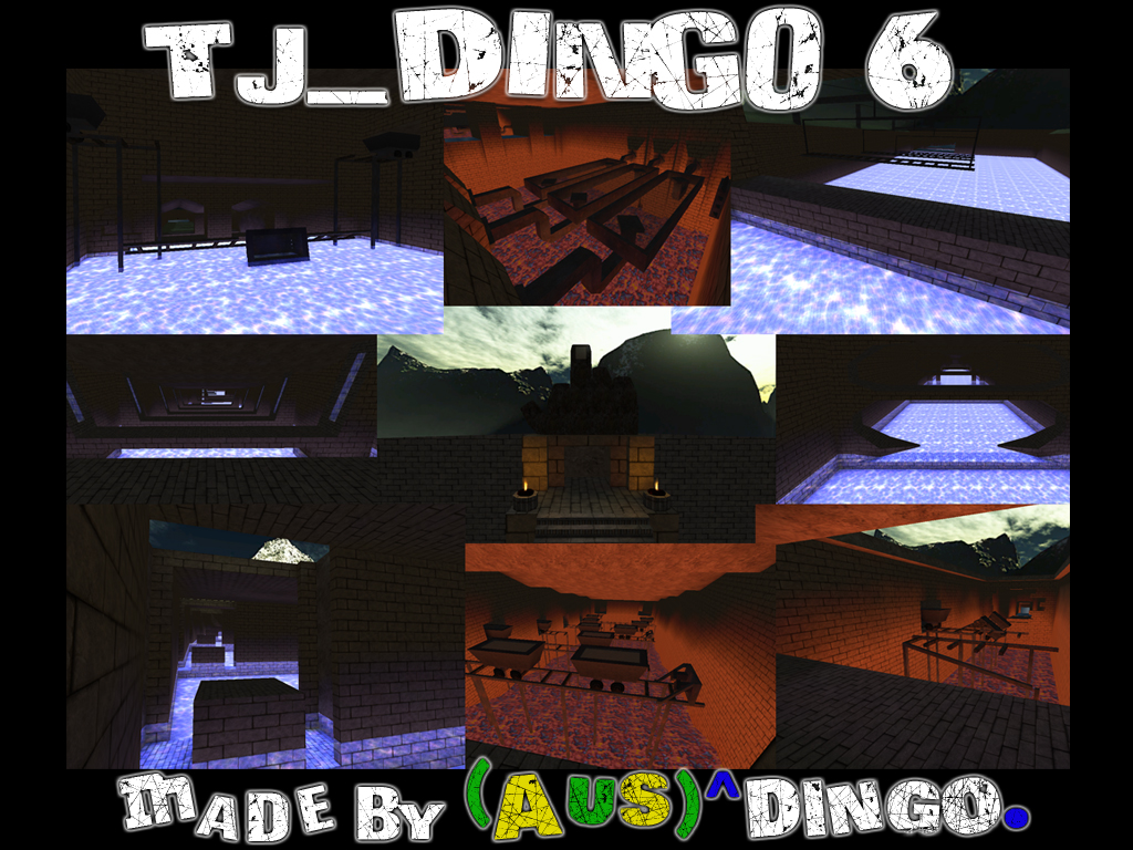 tj_dingo6