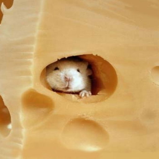 UJE cheese sniper b4 screenshot